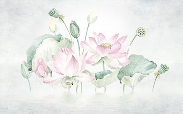  花鸟系列定制 (3)